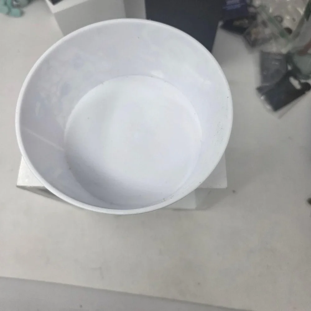 monster high bowl